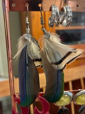 Boho Feather Drop Earrings in Green and Black - Unbranded